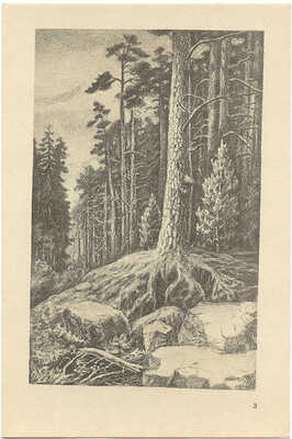 Валаам. Подборка репродукций / Худож. М.С. Смирнов. Л.: Художник РСФСР, 1965.